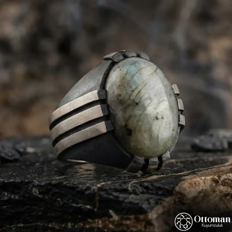 Labradorid Taşlı Pençe Model Gümüş Erkek Yüzük