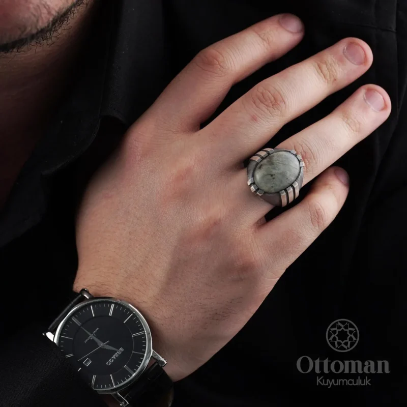 Labradorid Taşlı Pençe Model Gümüş Erkek Yüzük